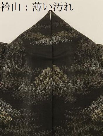 平和屋着物■上質な紬　風景文　黒地　正絹　逸品　BAAY8754hj