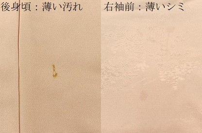 平和屋着物■上質な色無地　風景地紋　一斤染色　正絹　逸品　BAAY8776hj