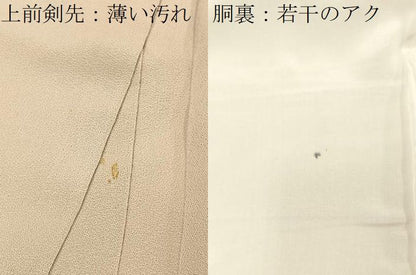 平和屋着物■豪華色留袖　寿光織　名所風景文　暈し染め　金糸　正絹　逸品　BAAY8778hj