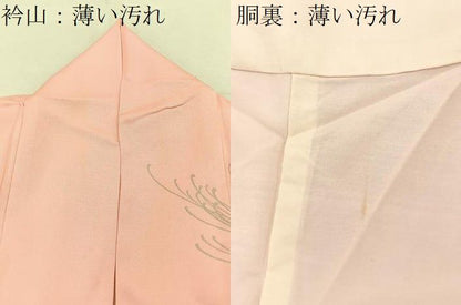 平和屋着物■訪問着　刺繍　乱菊舞蝶文　暈し染め　金銀彩　正絹　逸品　BAAY8781hj