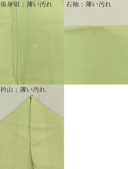 平和屋着物■訪問着　草花文　暈し染め　正絹　逸品　BAAY8810hj