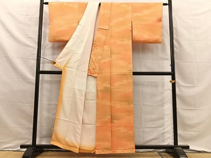 平和屋着物■上質な小紋　霞文　暈し染め　正絹　逸品　BAAY8845hj