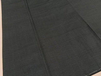 平和屋着物■男性　本場大島紬　100亀甲　総詰め　正絹　逸品　未使用　BAAY8862hj