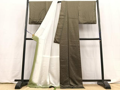 平和屋着物●上質な小紋　箔散らし文　ロング丈　正絹　逸品　BAAY9009yc