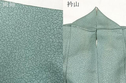 平和屋着物●訪問着　刺繍　地紙花文　暈し染め　金彩　正絹　逸品　BAAY9425yc