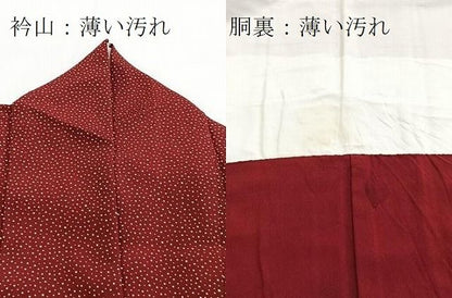 平和屋着物■江戸小紋　訪問着　大小あられ文　正絹　逸品　BAAY9428yc