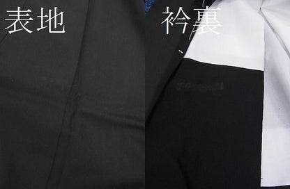平和屋着物■豪華黒留袖　松竹梅千鳥風景花文　暈し染め　金彩　逸品　CAAC9741ze