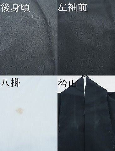 平和屋着物■豪華黒留袖　駒刺繍　枝松文　金彩　逸品　CAAD5273nb