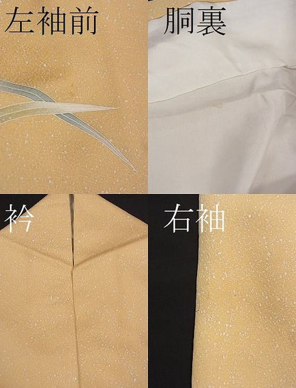平和屋着物■訪問着　芝草文　たたき染め　逸品　CAAE3553ze