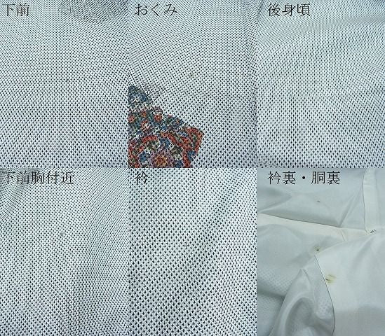 平和屋着物■上質なお召 吉祥文 逸品 CAAE9402ch