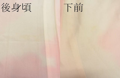 平和屋着物■上質な長襦袢　無双仕立て　雲取り文　逸品　CAAF2286vf