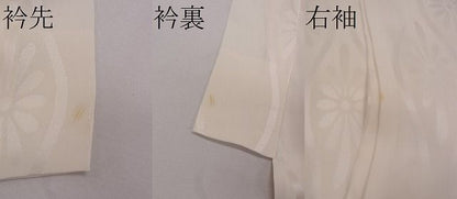 平和屋着物■上質な長襦袢　無双仕立て　立涌花地紋　逸品　CAAG1063dy