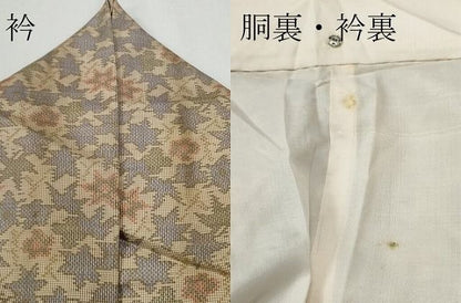 平和屋着物■上質なお召 草花文 逸品 CAAH4662yc