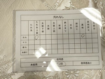 平和屋着物◎西陣 六通柄袋帯 天井草花文 銀糸 逸品 CAAI0115oy