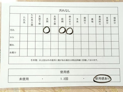 平和屋着物◎六通柄袋帯 流水草花文 金糸 正絹 逸品 CAAI3952ku