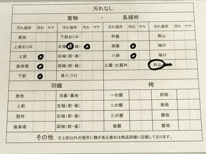 平和屋着物■豪華色留袖　飛鶴文　暈し染め　金彩　正絹　逸品　CAAI6269ou