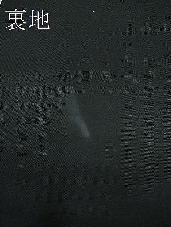 平和屋着物■六通柄袋帯 花蝶文 金銀糸 逸品 CAAI8907hy