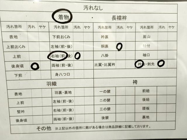 平和屋着物■付下げ　吉祥草花文　暈し染め　正絹　逸品　CAAJ8708ze