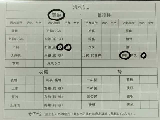 平和屋着物■上質なお召　吉祥文　正絹　逸品　CAAK0376in