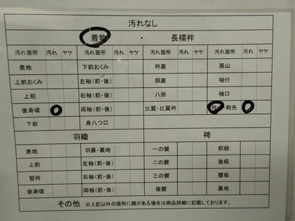 平和屋着物■男性 お召 亀甲文様 正絹 逸品 CAAK7291ze