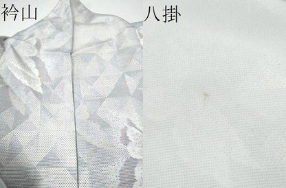 平和屋着物●極上　都喜ヱ門　本場大島紬　白大島　7マルキ　舞蝶文　藤絹織物謹製　正絹　逸品　CAAL1699hy