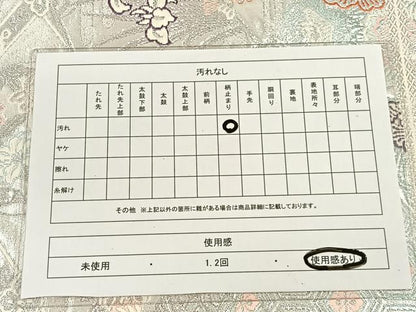 平和屋着物◎六通柄袋帯 天井花丸文 銀糸 正絹 逸品 CAAL2520ua
