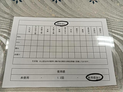 平和屋着物◎六通柄袋帯 枝花文 銀糸 鈴乃屋扱い 正絹 逸品 CAAL6408qv