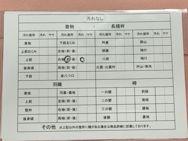 平和屋着物■色留訪問着　流水文　虹色　正絹　逸品　CAAL7451ou