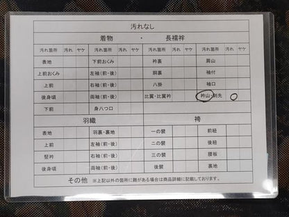 平和屋着物■上質なお召 風景文 正絹 逸品 CAAL7515ou
