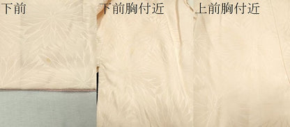 平和屋着物■長襦袢　袷　舞花地紋　暈し染め　正絹　逸品　CAAM6448gh