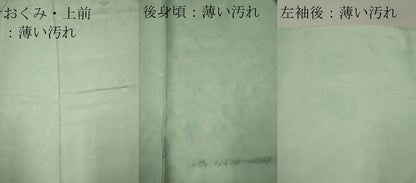 平和屋着物■上質な色無地　洋花唐草地紋　千草鼠色　正絹　逸品　CAAO1737ou