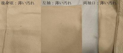 平和屋着物■豪華色留袖　船草花文　暈し染め　金糸　正絹　逸品　CAAO8249ut