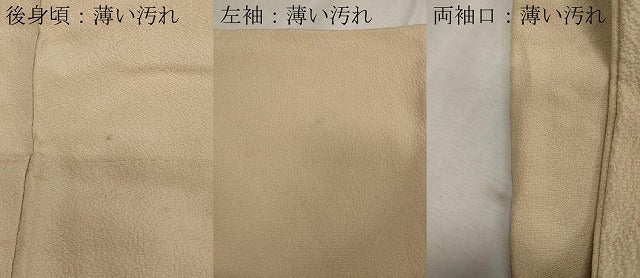 平和屋着物■豪華色留袖　船草花文　暈し染め　金糸　正絹　逸品　CAAO8249ut