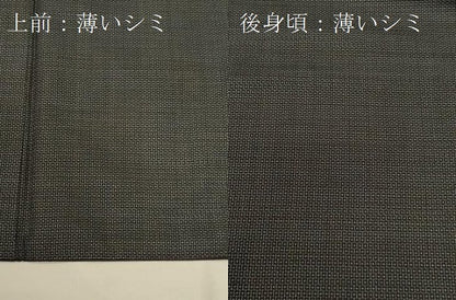 平和屋着物■男性　本場大島紬　アンサンブル　１００亀甲　惣爪　正絹　逸品　CAAO8510id