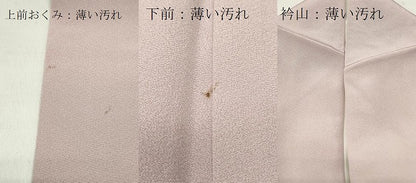 平和屋着物■色留訪問着　葡萄蔦の葉文　金彩　正絹　逸品　CAAP0638in