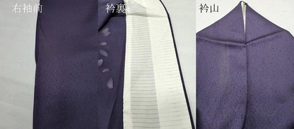 平和屋着物▽訪問着　単衣　刺繍　南天唐草文　正絹　逸品　CAAQ0057vf