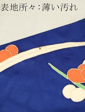 平和屋着物□豪華振袖 駒刺繍 草花文 金彩 正絹 逸品 CAAQ1939th