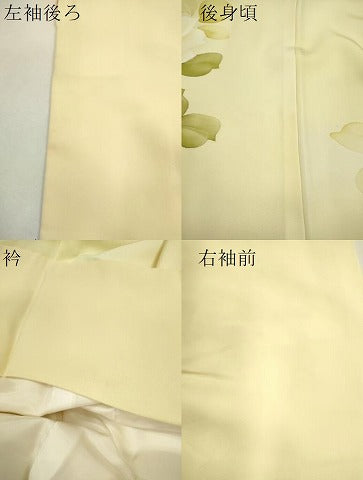 平和屋着物●訪問着　手描き　薔薇　暈し染め　金彩　正絹　逸品　CAAR6572ze
