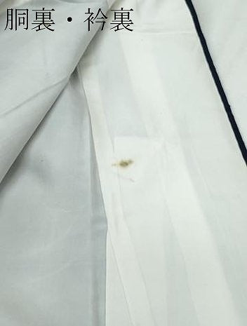 平和屋着物●上質な紬　枝花文　正絹　逸品　未使用　CAAR8016vf