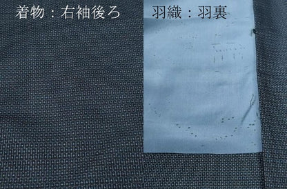 平和屋着物●男性 本場大島紬 アンサンブル 100亀甲 総詰め 正絹 逸品 CAAR8118vf