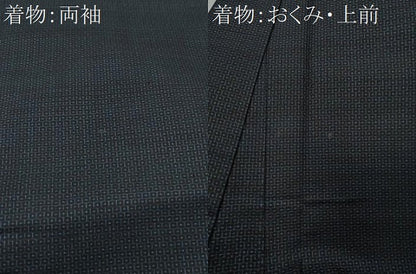 平和屋着物●男性 本場大島紬 アンサンブル 100.亀甲 前田紬工場謹製 総詰め 証紙付き 正絹 逸品 CAAR8226vf