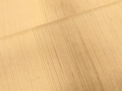 平和屋着物●上質な紬 間道 正絹 逸品 CAAS0027th