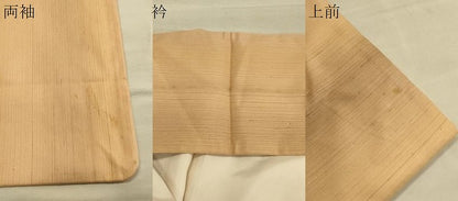 平和屋着物●上質な紬 間道 正絹 逸品 CAAS0027th