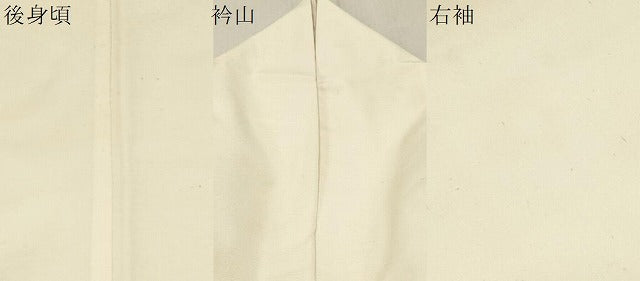 平和屋着物●上質な紬　色無地　象牙色　正絹　逸品　CAAS0156th