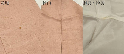 平和屋着物●上質な紬 色無地 宍色 正絹 逸品 CAAS0220th