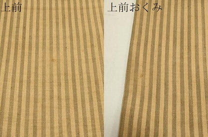 平和屋着物●上質な紬　間道　正絹　逸品　CAAS0221th