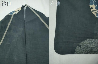 平和屋着物＊夏物　小紋　絽　竹垣雪輪立波花文　洗える着物　CAAQ1232ngm