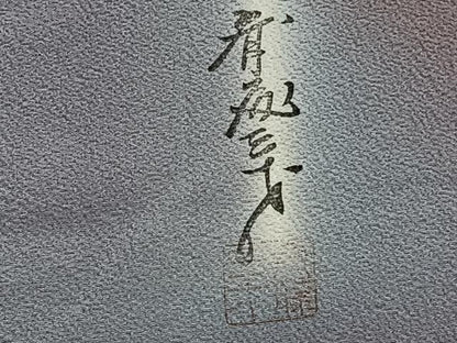 平和屋着物▽染色作家 斉藤三才 小紋 単衣 暈し染め 正絹 逸品 CAAS2447xi