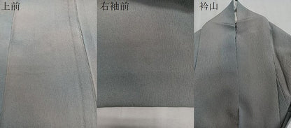 平和屋着物▽上質な小紋 単衣 作家物 ふくれ織 暈し染め 正絹 逸品 CAAS2472xi