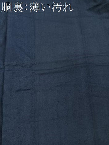 平和屋着物□男性 紬 霞文 正絹 逸品 CAAS2697xi